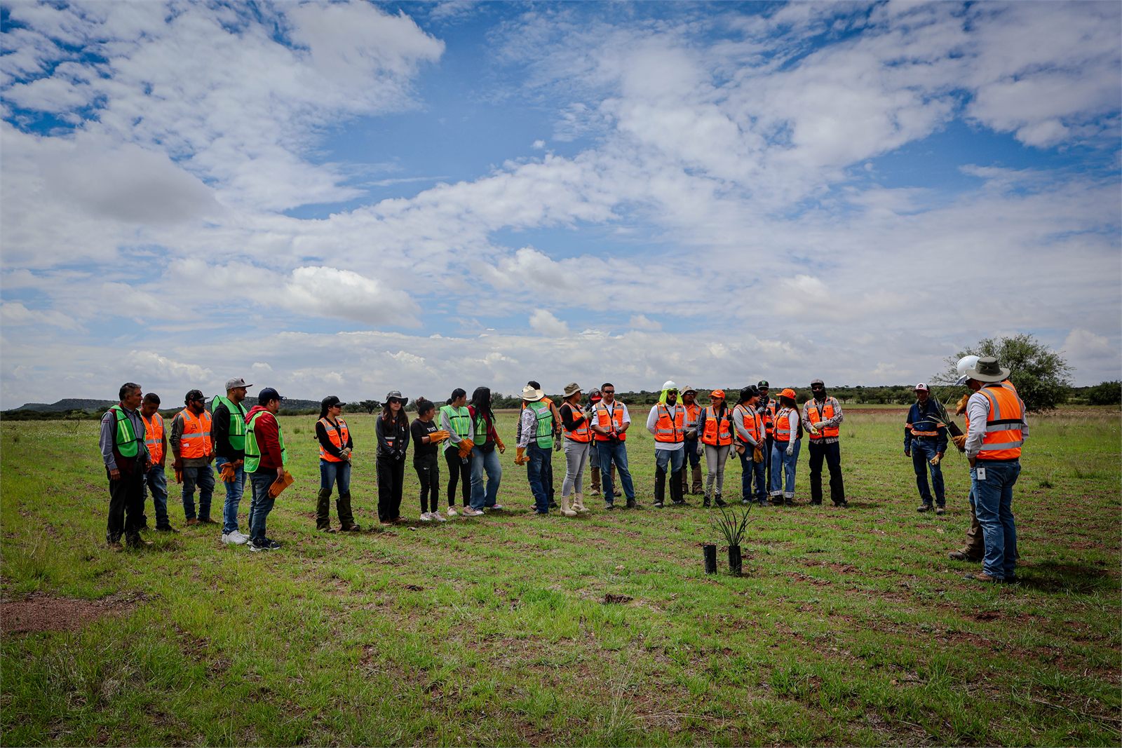 Brigada de reforestación de Minas de San Nicolás reunida en el campo antes de plantar