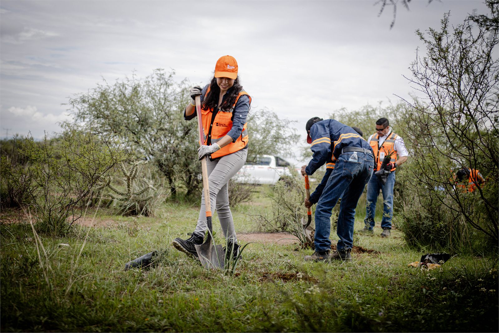 Voluntarios cavando para plantar durante la reforestación de Minas de San Nicolás