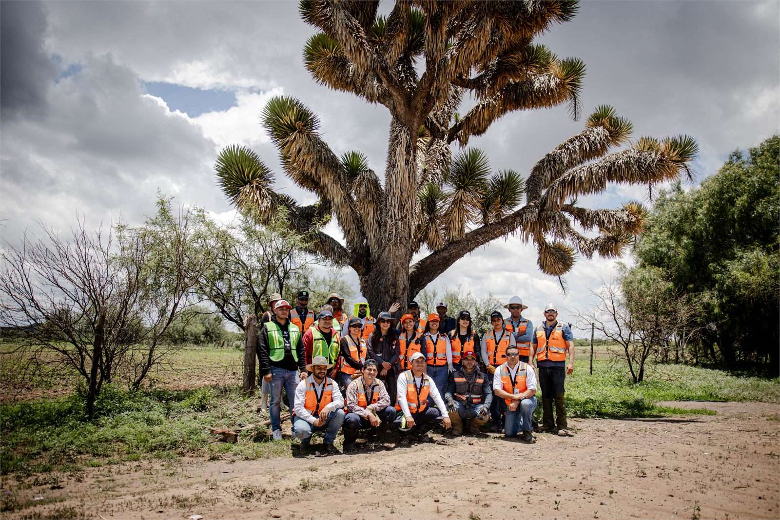 Foto de grupo de la reforestación bajo una yuca del semidesierto